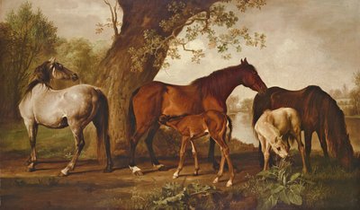 Cavalla e puledri da George Stubbs